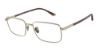 Picture of Giorgio Armani Eyeglasses AR5133