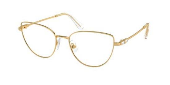 Picture of Swarovski Eyeglasses SK1007