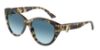 Picture of Jimmy Choo Sunglasses JC5007F