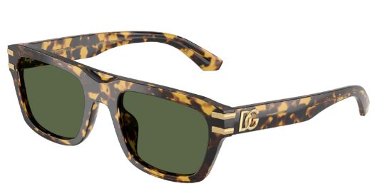 Picture of Dolce & Gabbana Sunglasses DG4496