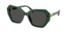 Picture of Swarovski Sunglasses SK6017